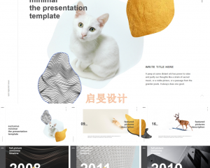 可爱小猫黄页PPT模板艺术宠物ppt模板资源